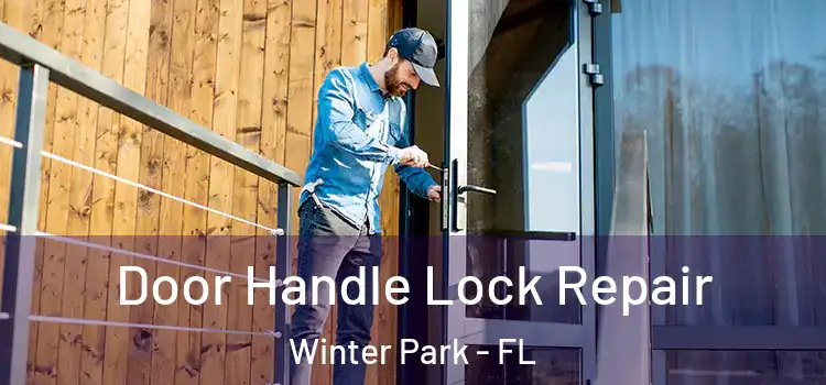 Door Handle Lock Repair Winter Park - FL