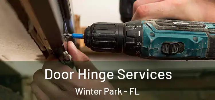 Door Hinge Services Winter Park - FL