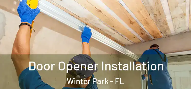 Door Opener Installation Winter Park - FL