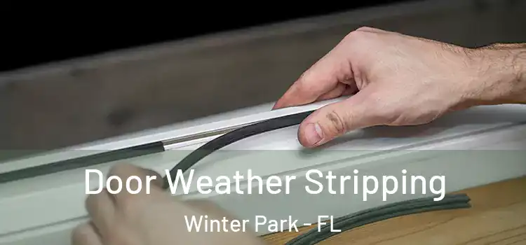 Door Weather Stripping Winter Park - FL