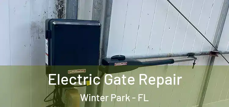 Electric Gate Repair Winter Park - FL