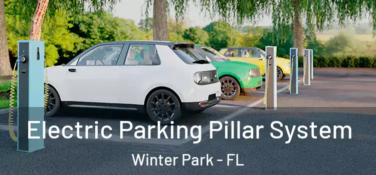 Electric Parking Pillar System Winter Park - FL