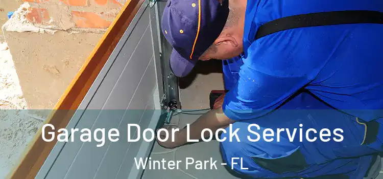 Garage Door Lock Services Winter Park - FL