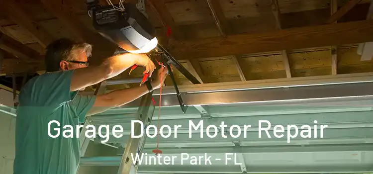  Garage Door Motor Repair Winter Park - FL