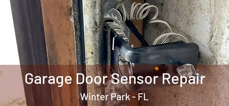 Garage Door Sensor Repair Winter Park - FL