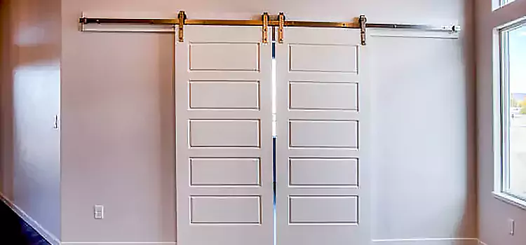 Glass Barn Door with Installation Hardware Kit Winter Park