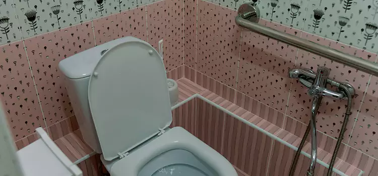 Meeting Diverse Needs With Accessible Restroom Solutions in Winter Park, FL