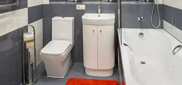 Hansgrohe Shaving Mirror Winter Park