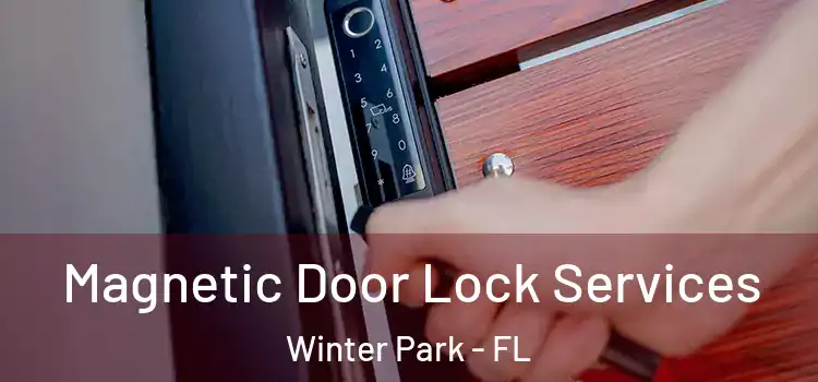 Magnetic Door Lock Services Winter Park - FL