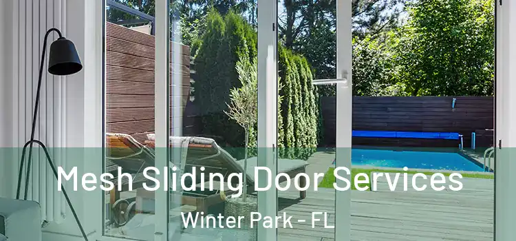 Mesh Sliding Door Services Winter Park - FL