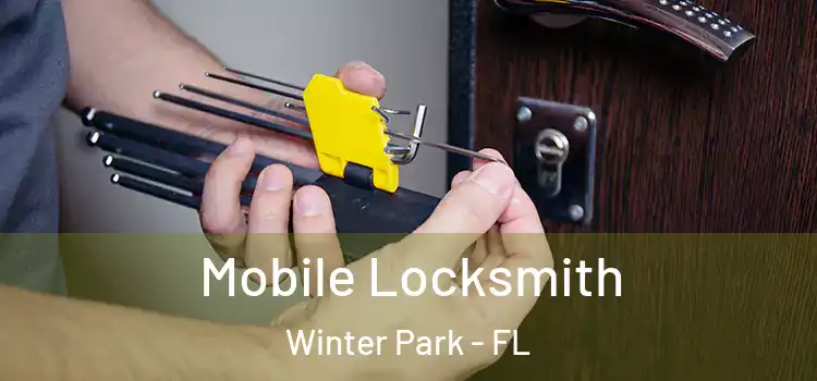 Mobile Locksmith Winter Park - FL