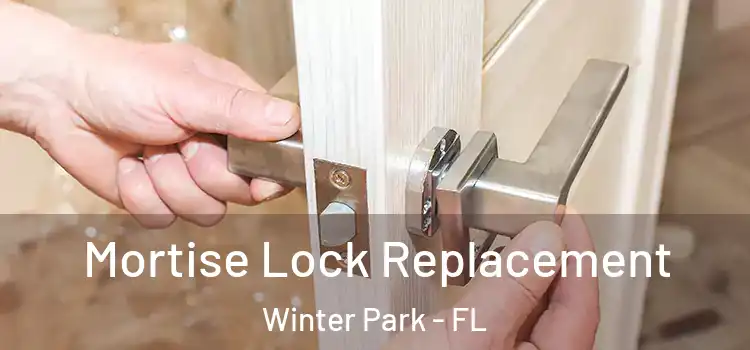 Mortise Lock Replacement Winter Park - FL