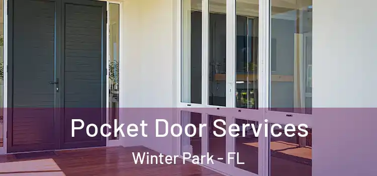 Pocket Door Services Winter Park - FL