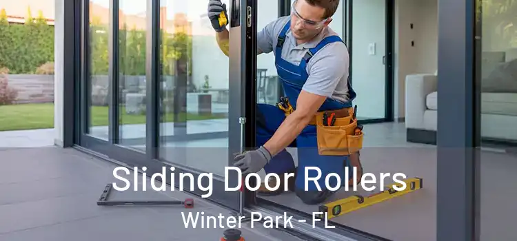  Sliding Door Rollers Winter Park - FL